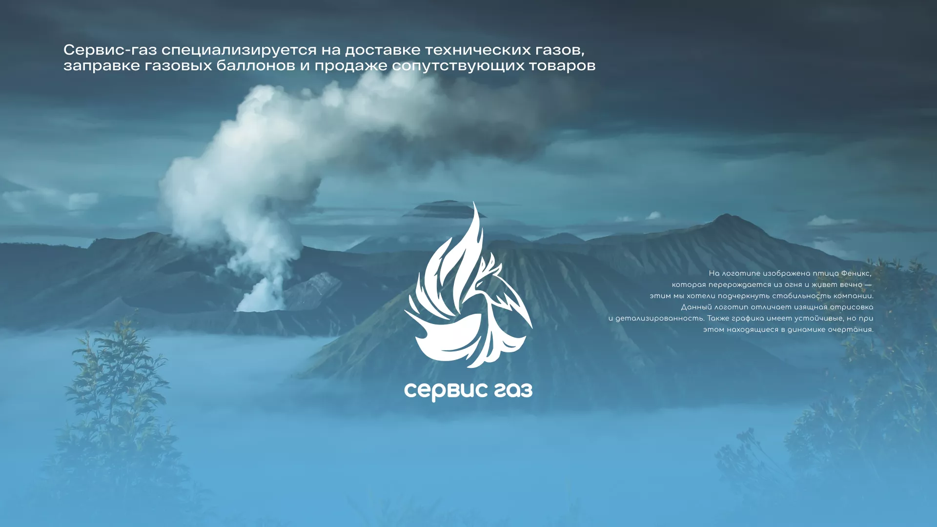 Создание сайта компании «Сервис газ» в Донецке