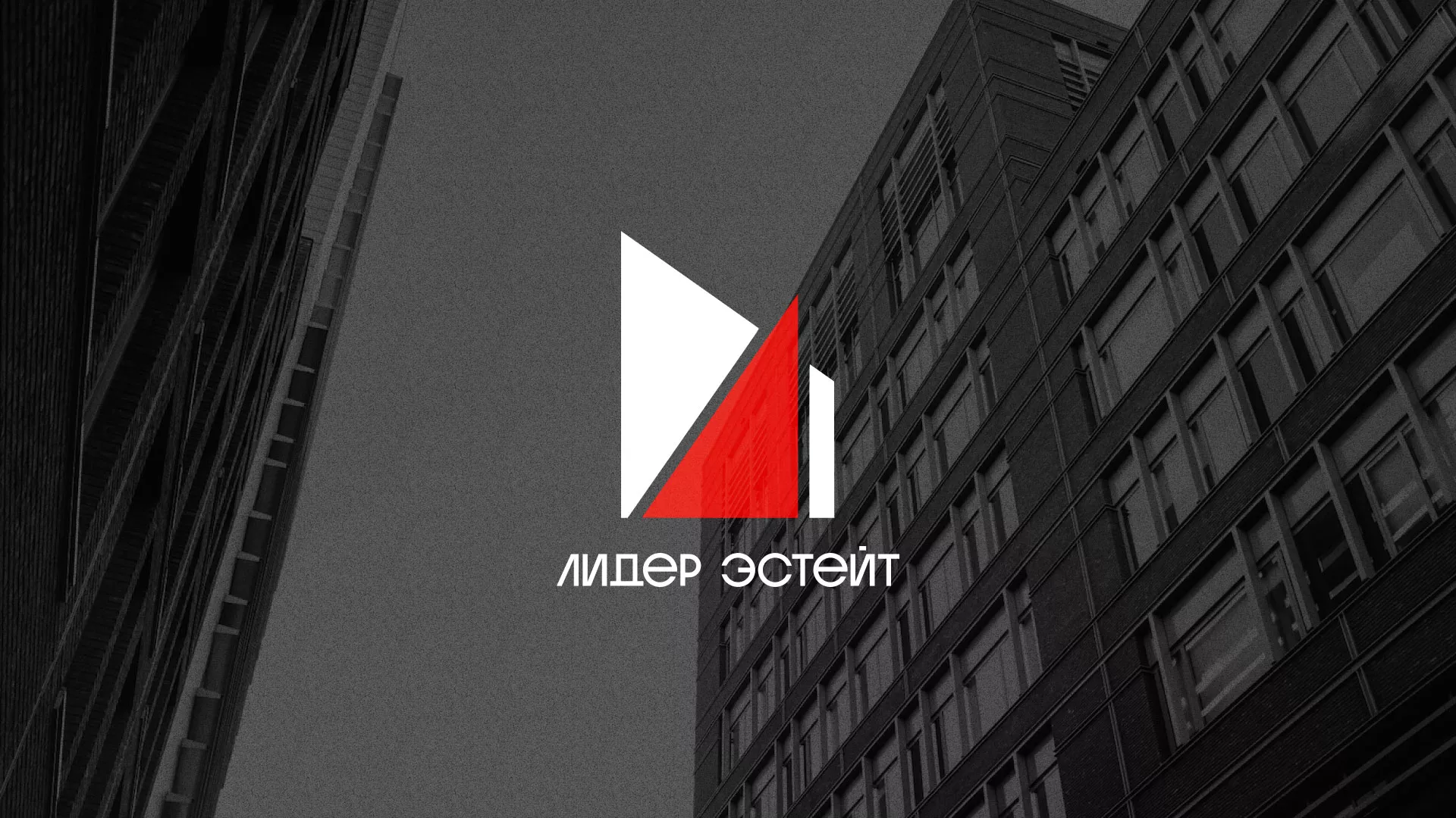 Сделали логотип для агентства недвижимости «Лидер Эстейт» в Донецке